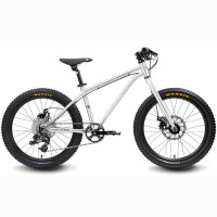 Велосипед 20 Trail Brushed aluminum 2018