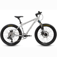 Велосипед 20 HardTail brushed aluminum ER0130-18