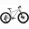Early rider Велосипед 20 HardTail brushed aluminum ER0130-18