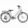 Puky Двухколесный велосипед Skyride 20-6 Alu white 4449