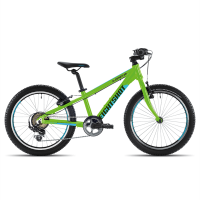 Двухколесный велосипед X-COADY 20 Green 7017