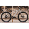Early rider Велосипед Belter 24 brushed aluminium BR24